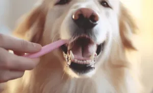 Primo piano della dentatura di un cane di taglia grande mentre viene pulita con apposita spazzola rosa