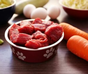 Ciotola di un cane con all'interno pezzi di carne cruda