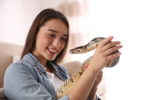 Ragazza che tiene in mano un'esemplare di serpente